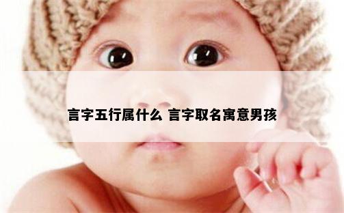 言字五行属什么 言字取名寓意男孩