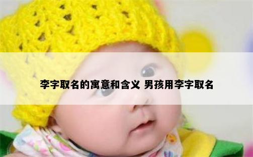 李字取名的寓意和含义 男孩用李字取名