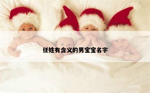 任姓有含义的男宝宝名字