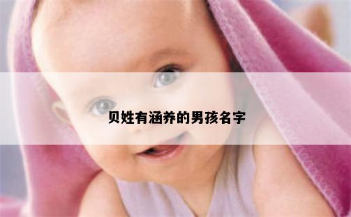 贝姓有涵养的男孩名字