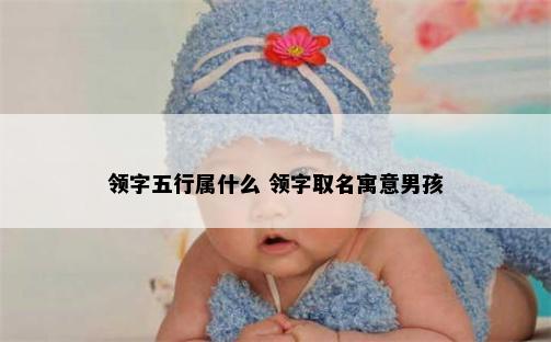 领字五行属什么 领字取名寓意男孩
